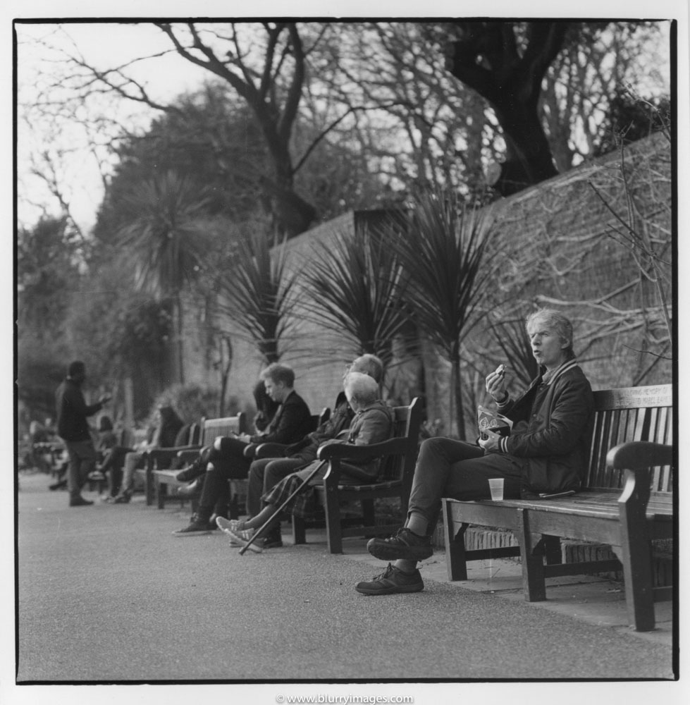 holland park, people on the beach, relax in park
