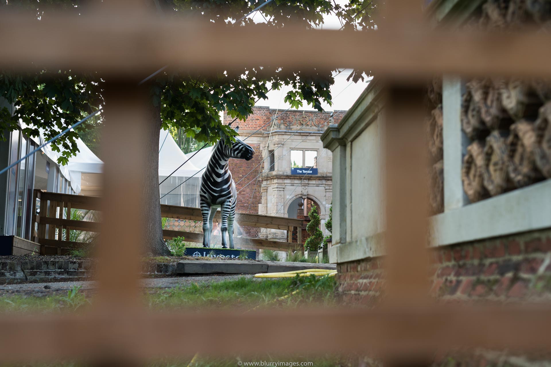 Artificial zebra, 2016, Holland Park, outdoors, brown fence,