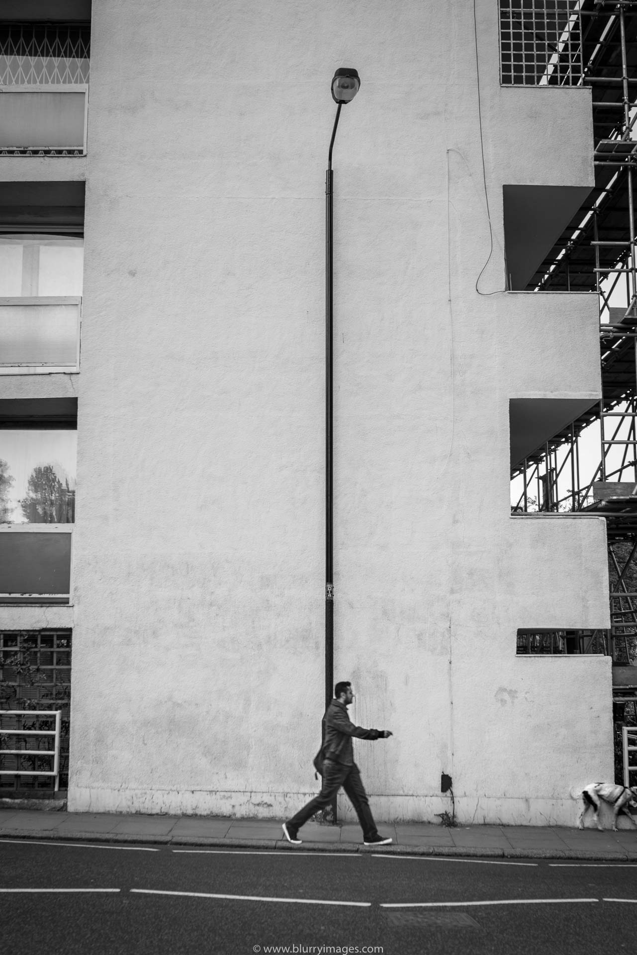 walking man, Horton Street, 2016, one man only, dog, white wall, white lines, tool building, dark blazer, black shoes,