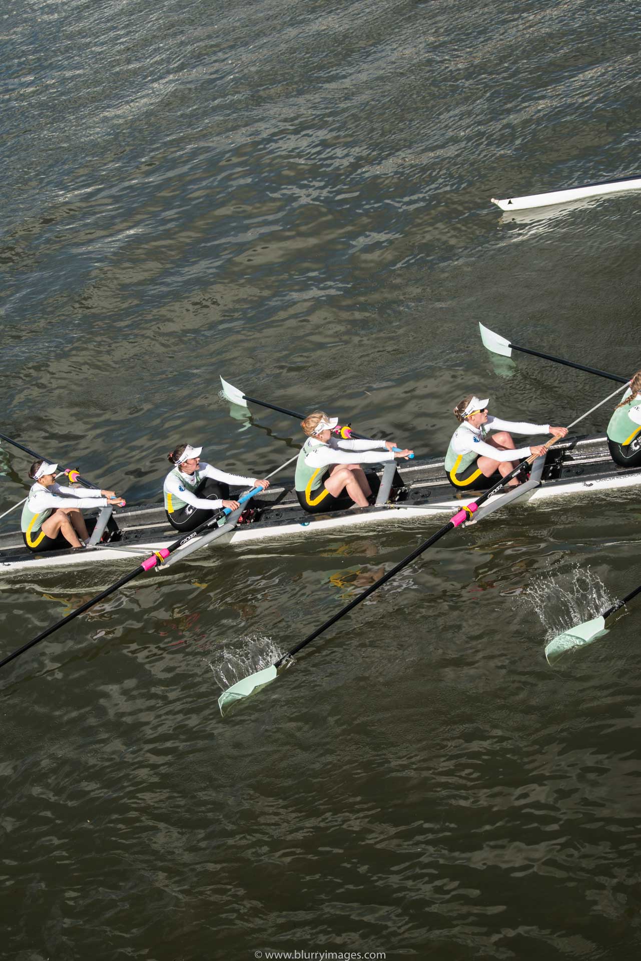 Cancer Research boat race, boat race