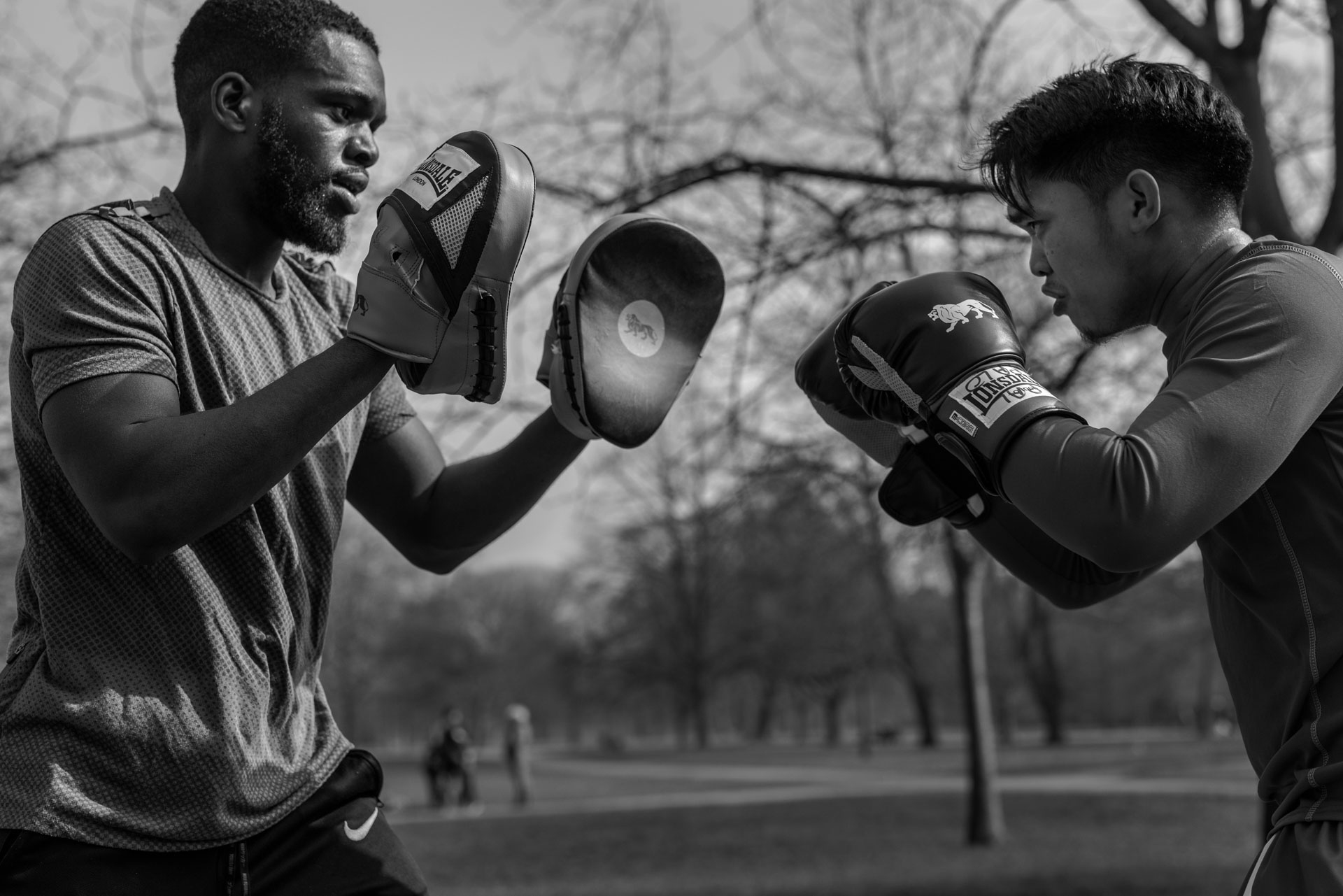 Boxer's training, boxer exercise, boxer training tips