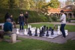 chess, playing chess, chess games, chess online