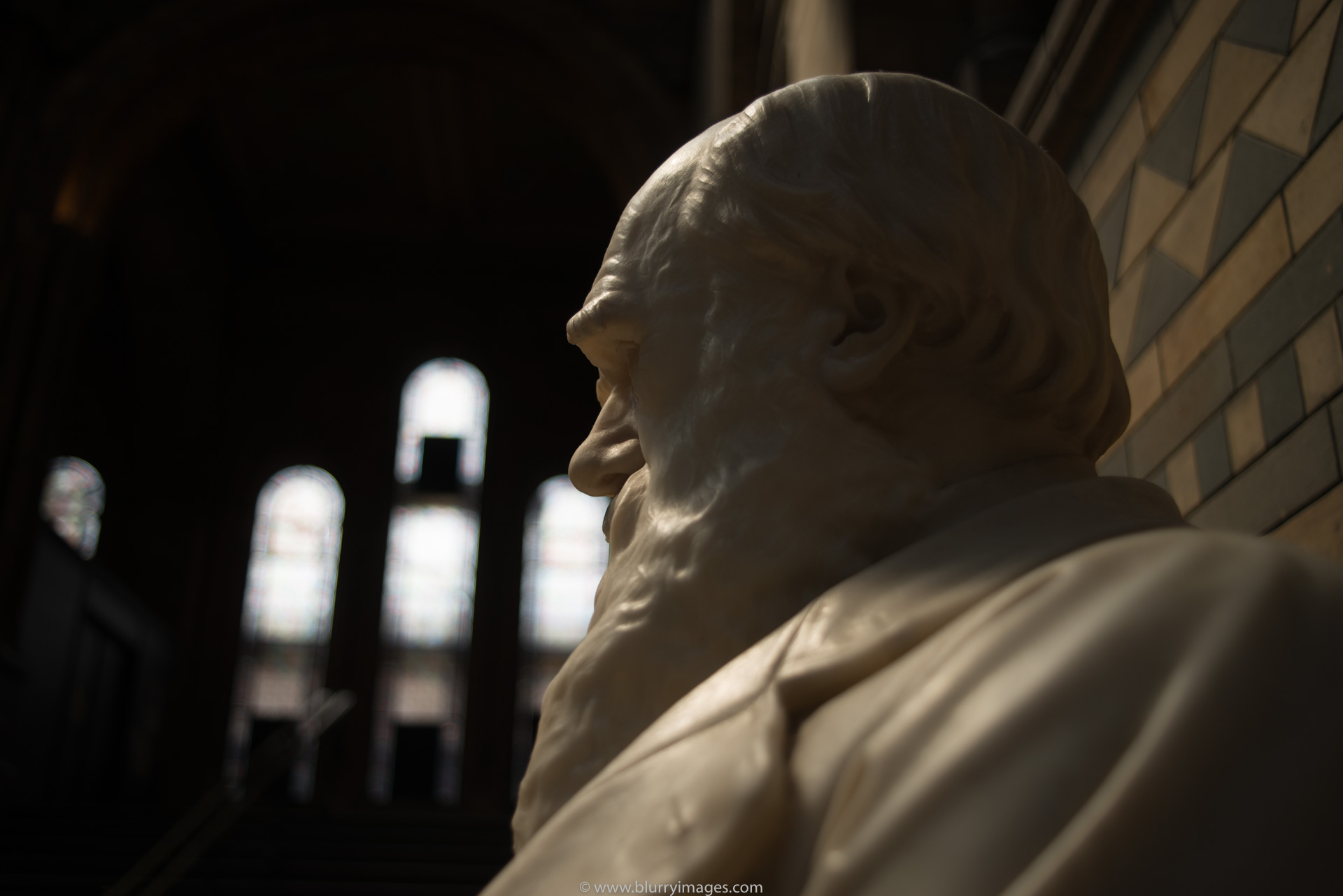 Karol Darwin's picture, visit in national history museum
