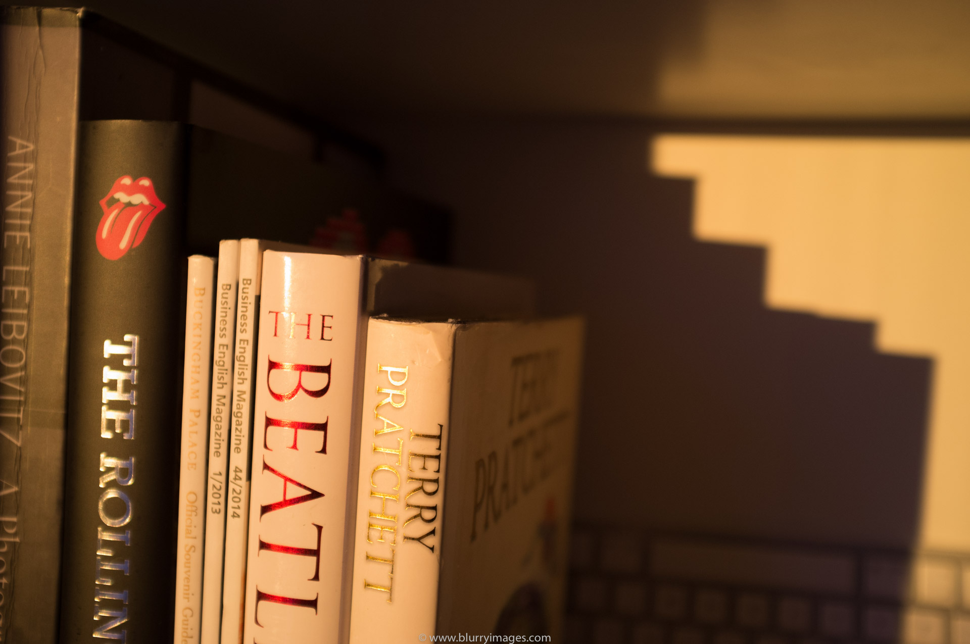 sun and light, books on shelf