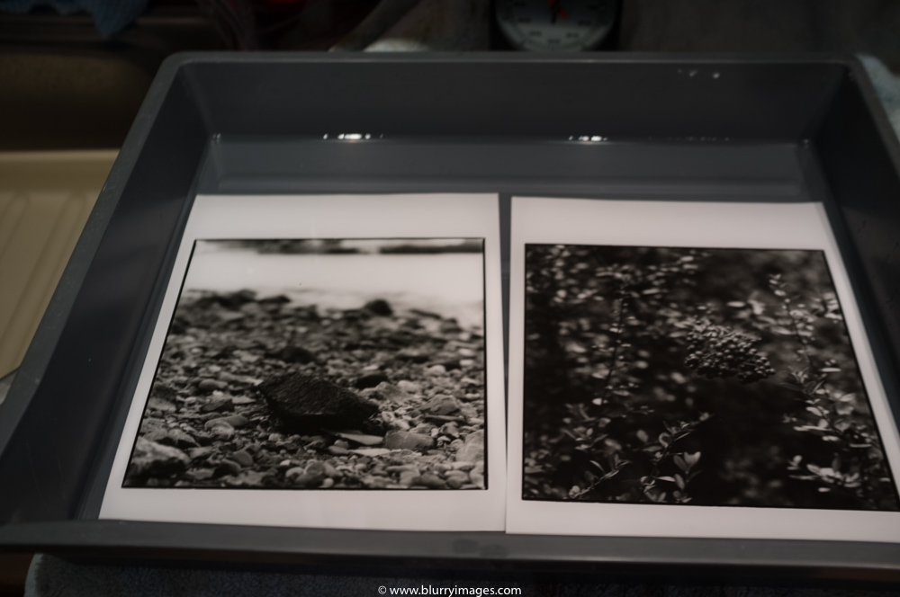 darkroom prints, stone on the riverbank